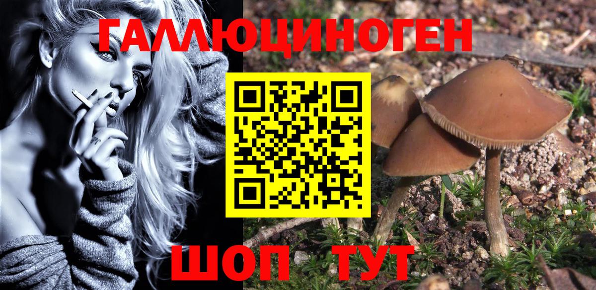 Псилоцибиновые грибы GOLDEN TEACHER Кисловодск