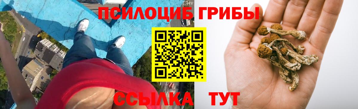 Кисловодск  Галлюциногенные грибы мицелий  Псилоцибиновые грибы Cubensis  Вход с VPN 